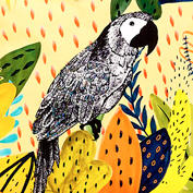 sunnsand-tropicalbird-gallery.jpg