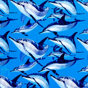 guyharvey-dolphins-gallery.jpg
