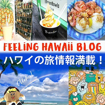 hawaiiblog.jpg